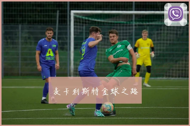 麦卡利斯特金球之路
