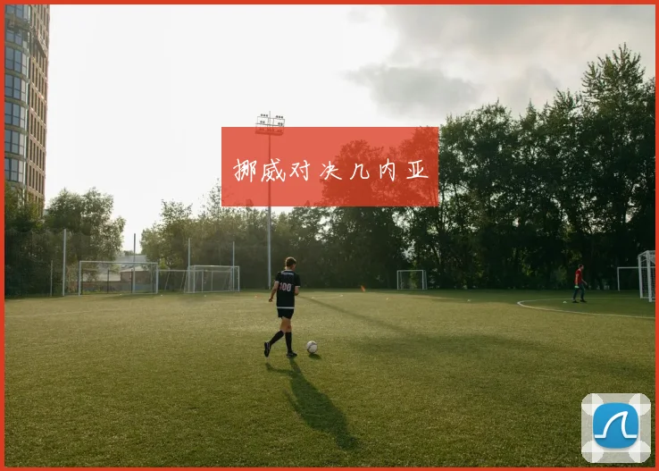 挪威对决几内亚