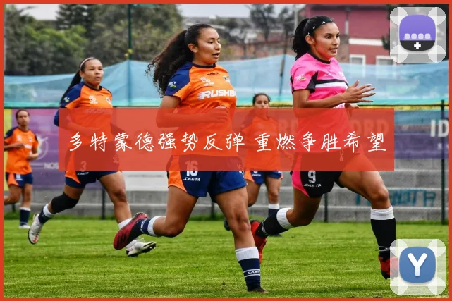 多特蒙德强势反弹 重燃争胜希望