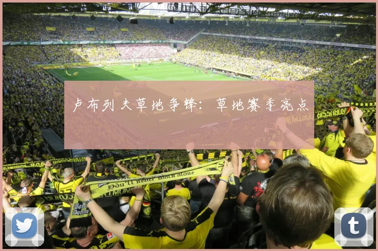 卢布列夫草地争锋：草地赛季亮点