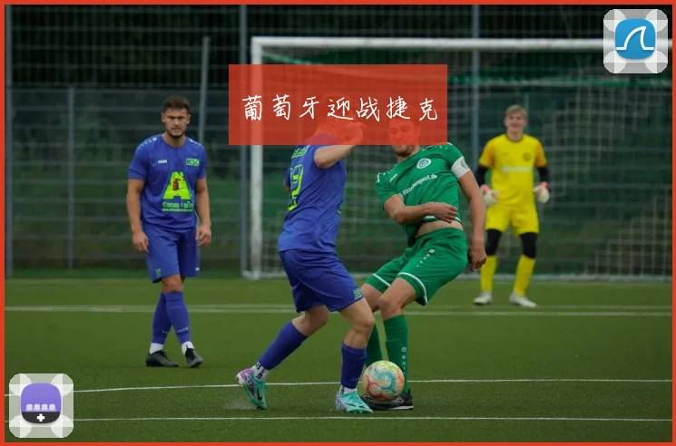 葡萄牙迎战捷克