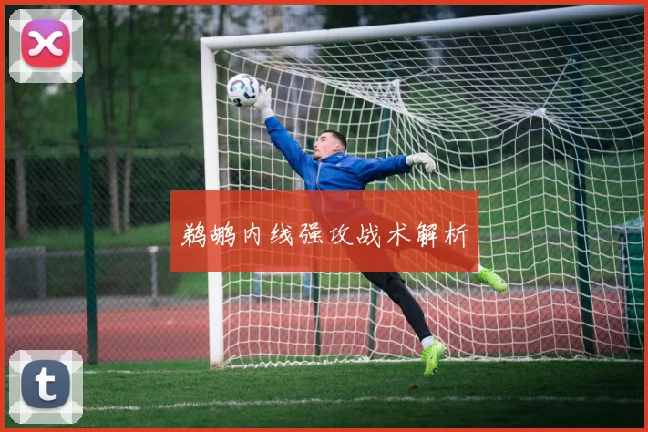 鹈鹕内线强攻战术解析