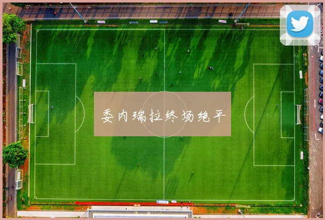 委内瑞拉终场绝平