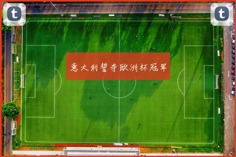 意大利誓夺欧洲杯冠军
