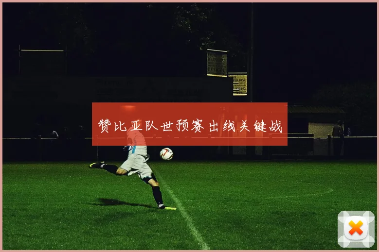 赞比亚队世预赛出线关键战