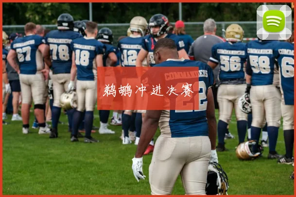 鹈鹕冲进决赛