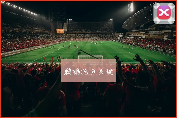 鹈鹕抢分关键