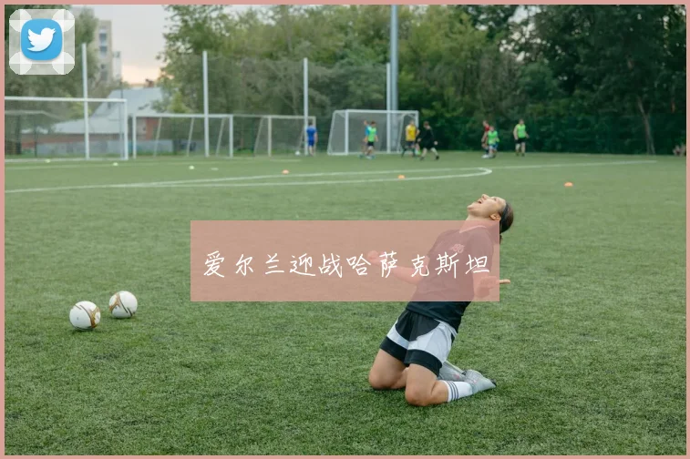 爱尔兰迎战哈萨克斯坦