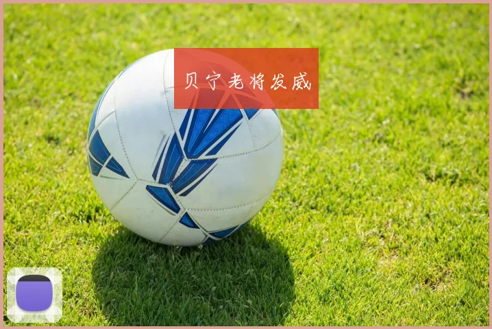 贝宁老将发威
