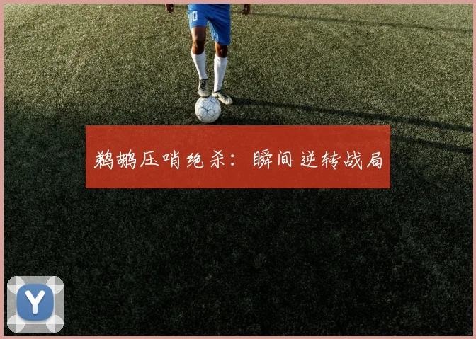 鹈鹕压哨绝杀：瞬间逆转战局