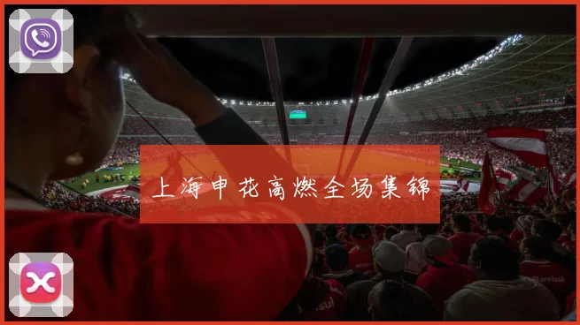 上海申花高燃全场集锦