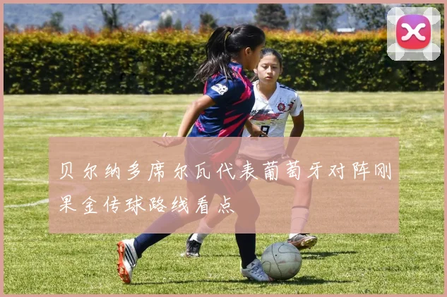 贝尔纳多席尔瓦代表葡萄牙对阵刚果金传球路线看点
