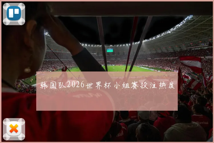 韩国队2026世界杯小组赛投注热度