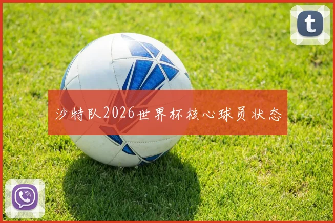 沙特队2026世界杯核心球员状态