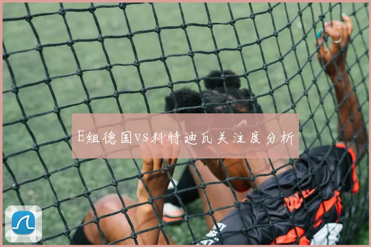 E组德国vs科特迪瓦关注度分析