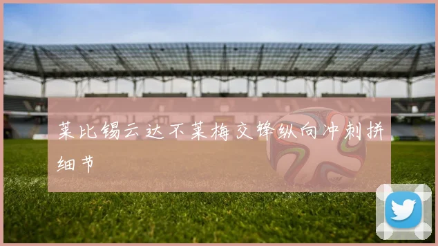 莱比锡云达不莱梅交锋纵向冲刺拼细节